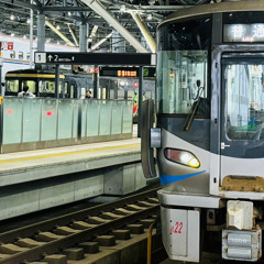 YOUKAI HIGASHI-NAMERIKAWA