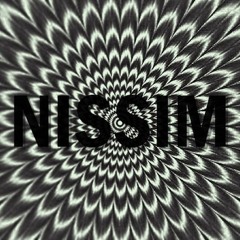 NISSIM - Intercepting Noise
