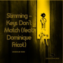 Stimming - Keys Don’t Match (feat. Dominique Fricot) DanzeMusik Remix