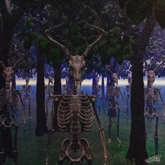 ᡕᠵデᡁ᠊╾━