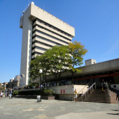 0081 - Fell in Lava (skrewed_rmx)