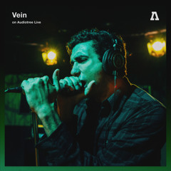 Ripple (Audiotree Live Version)
