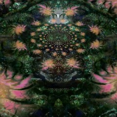 Mindspringummer2021part 2
