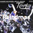 Sander Van Doorn X Selva & Macon - Raindrops (Temptos Remix)