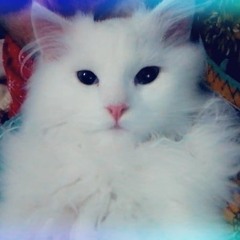 slow mo remix ❤️