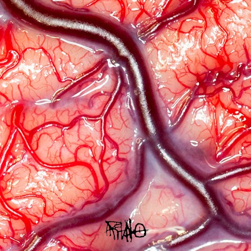 GENEROSIDAD