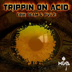 Erik Deam & PVLZ - Trippin On Acid