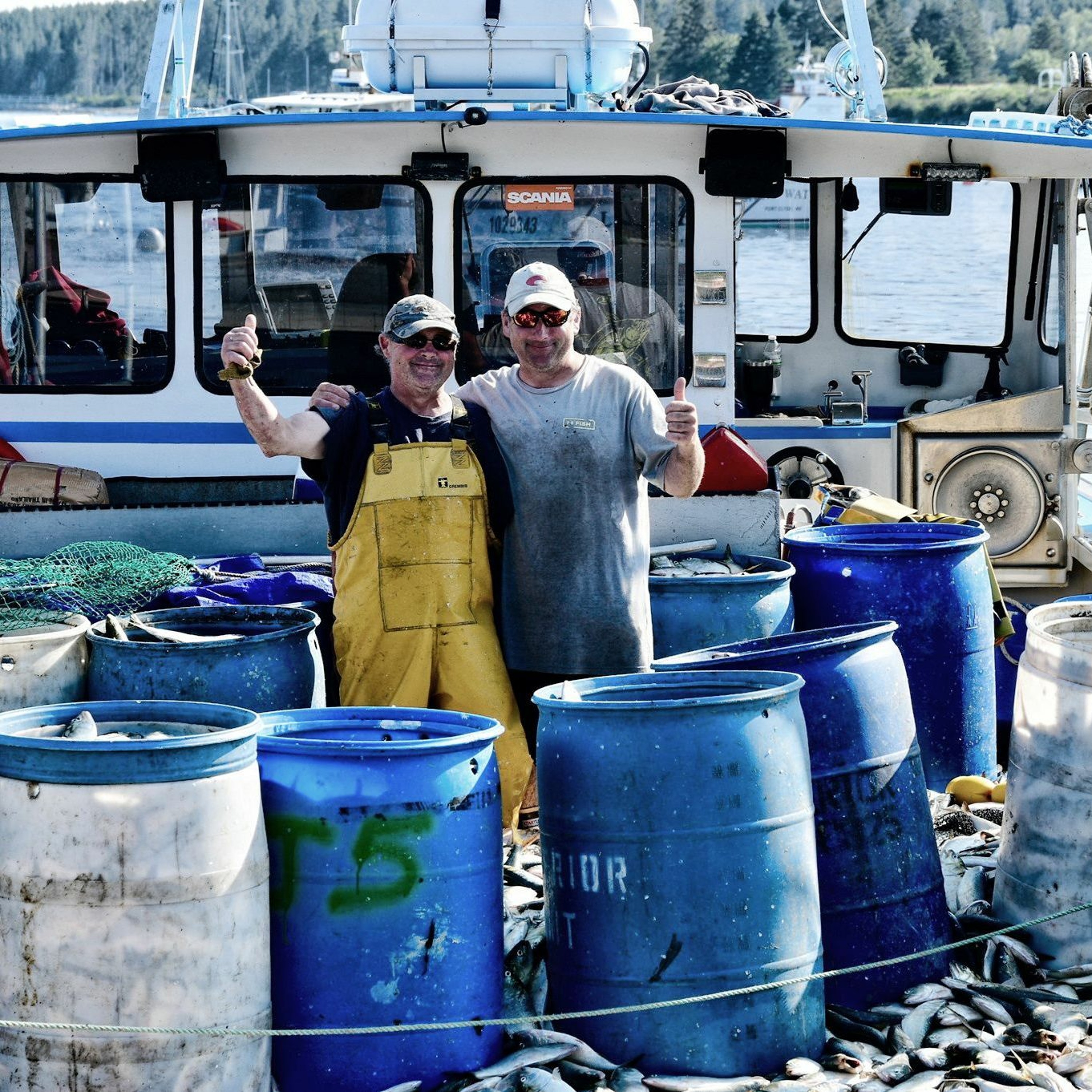 Menhaden Updates with Megan Ware of Maine Department of Marine Resources