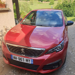 la ronfleuse a dédé la guenille