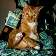 money is the reason