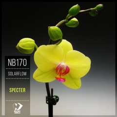 SolarFlow - Sadness of Rain (Original Mix)