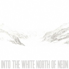Into the White
