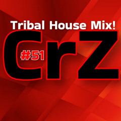 Crazy Dj #51 - Tribal House & Tech House Summer Mix 2025 - CrZ -
