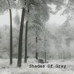 Shades Of Gray