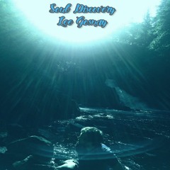 Soul Discovery