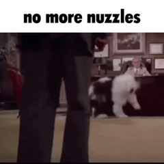 no more nuzzles pepinified [UNFINISHED AND NOT GONNA FINISH]