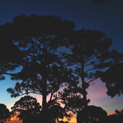 Tyh's ID Showcase (2021)