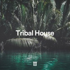 Tribal House Mix 2024 Live Mitschnitt by Infamous