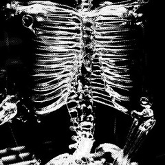 SFN.808-PRUUA [FREEDL]