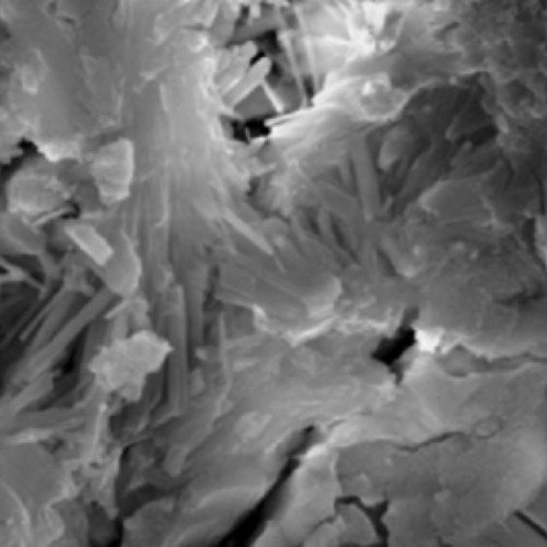 expansive additive process sequencing 1b 2Hz 4