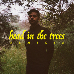 Head In The Trees (Julius Jetson Remix)