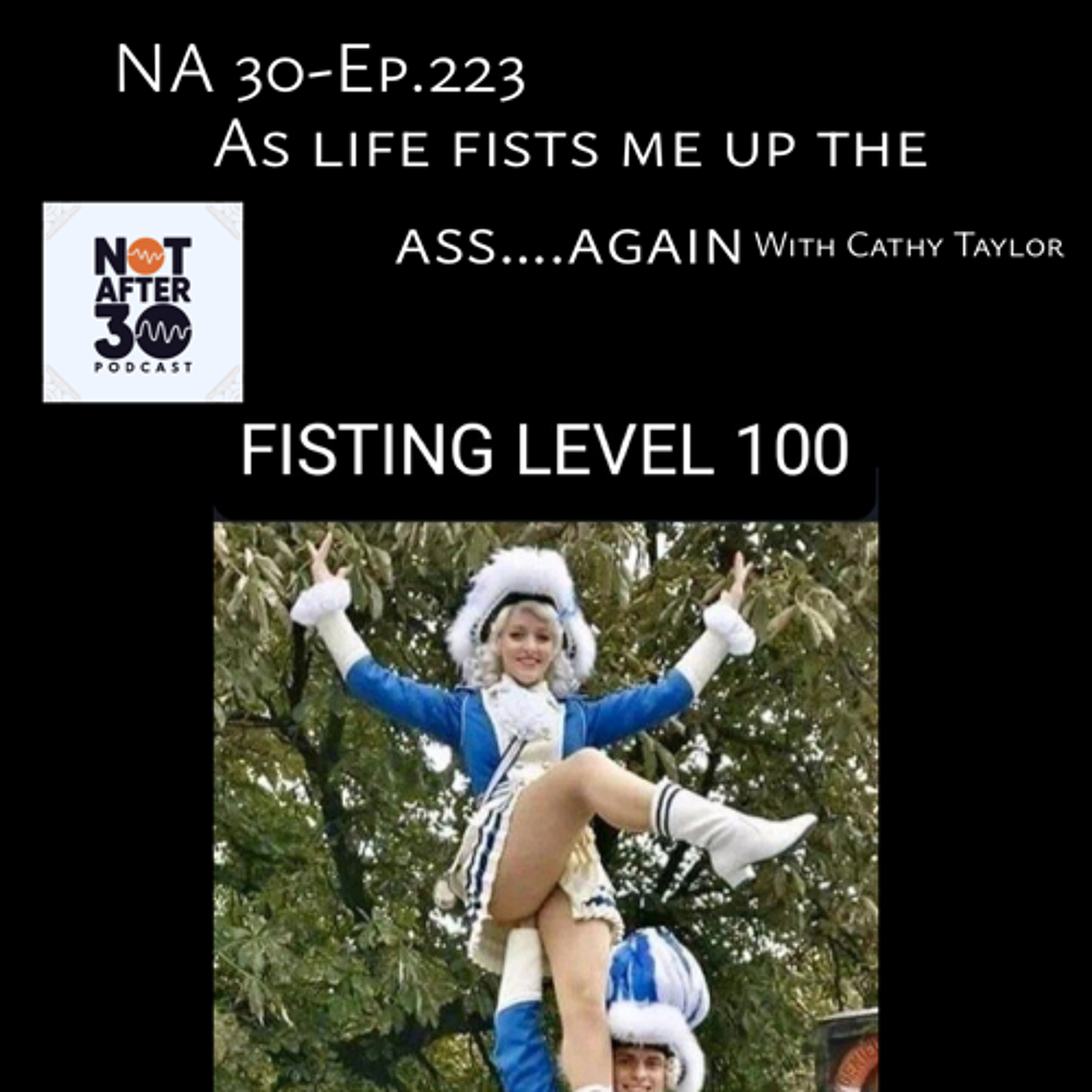 NA 30-Ep.223- as life fists me up the ass....again episode artwork