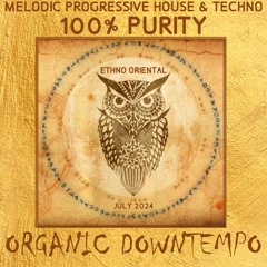 100% Purity Deep Ethno Oriental Organic Downtempo by DJ MPHT July Summer 2024 Sun Sol Chill Beach