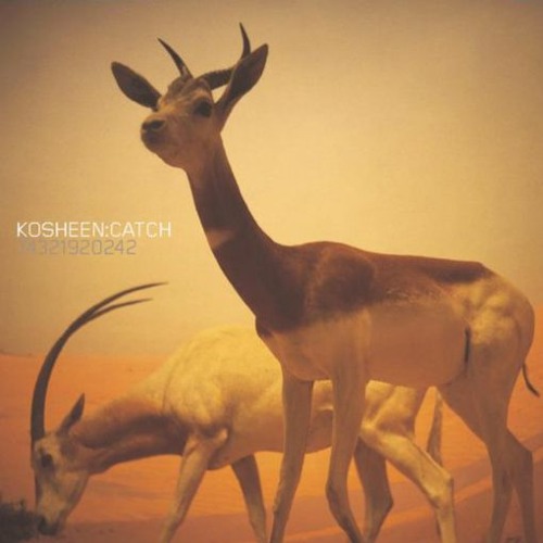 Kosheen - Catch (Ferry Corsten Mix) by Nathan Carley