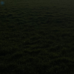 Big Dog YoGo - Black Hoodie Gat Low