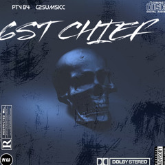 B4 - 6 St Chief Ft C2Sumsicc