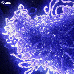 ZEC. - Telomere