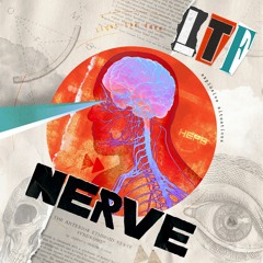 LTF - Nerve