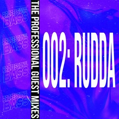 Professional Bass Guest Mixes: 002 - Rudda