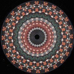 Premiere : Unknown Artist - Modern Language (NNL006)