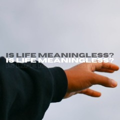 is life meaningless?