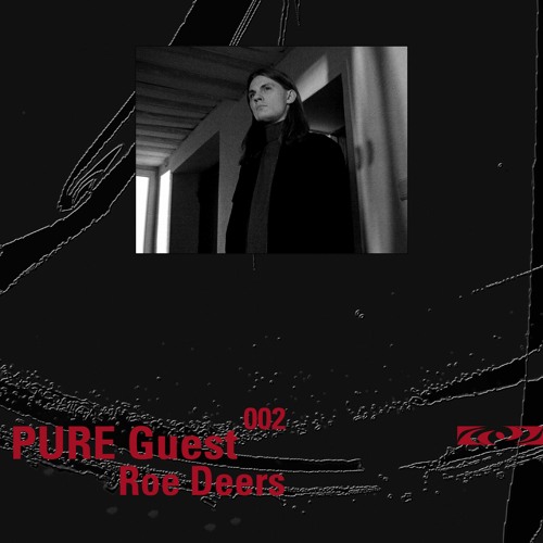 PURE Guest.002 Roe Deers