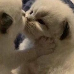 Fem.love - Ничего Не Изменить Snippet Из Тг