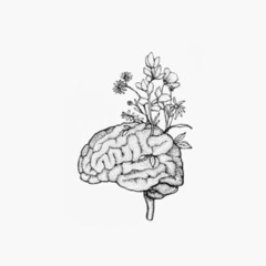 Plant Flowers