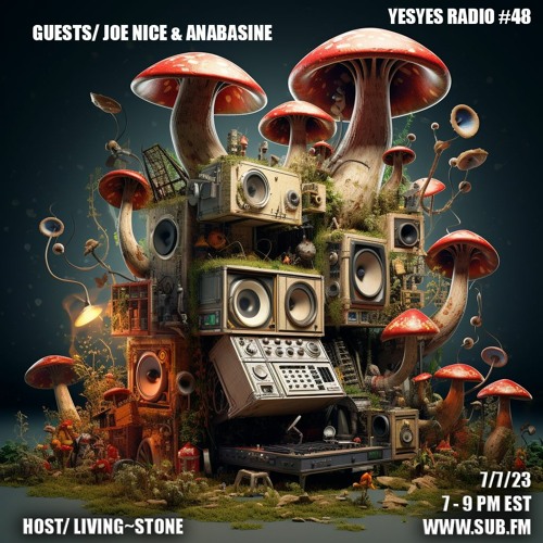 YESYES 48 featuring Joe Nice & Anabasine