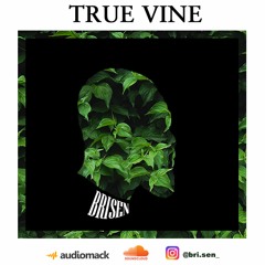True Vine ft. Brisen
