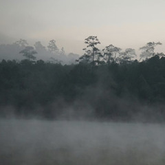 รู้สึกเหลือเกินว่าตัวเองกึดเติงหาคนงามใจดีผิวขาวตาวาวเท่ากับคิดถึงดอยสุเทพ - ดวงดาวเดียวดาย