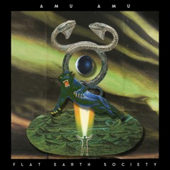 PREMIERE: AmuAmu  - Enquy (Niju Remix) [Random Collective Records]