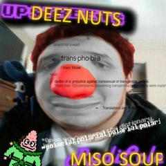 Miso - transPHOBE.