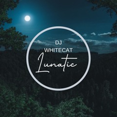 DJ WhiteCat - Lunatic (Melodic Techno Mix, Nov 2022)