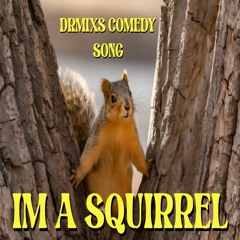 I'm A Squirrel   //  Comedy Song by DRMIX 2023