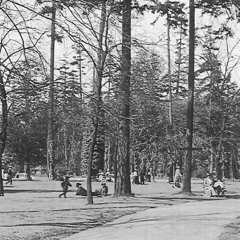 End of Summer at Woodland Park 09.13.2025