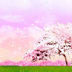 Sonatine for Sakura / Romantic piano,beautiful dreams