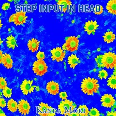 Step Input In Head