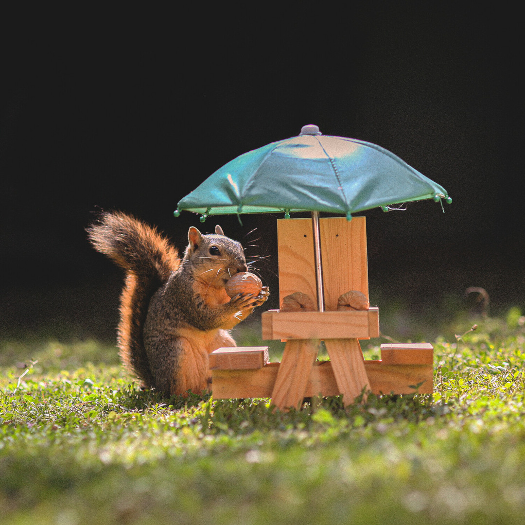 EVIDENCE SQUIRREL TAPE III レコード Evidence - Squirrel Tape