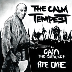 THE CALM TEMPEST